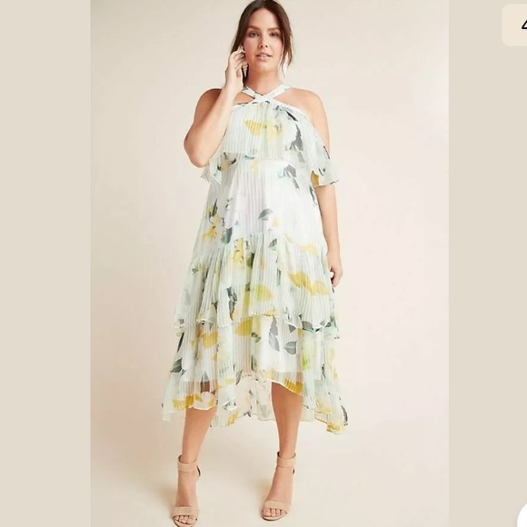 Anthropologie Dresses & Skirts - Anthropologie Garden Party Dress $240